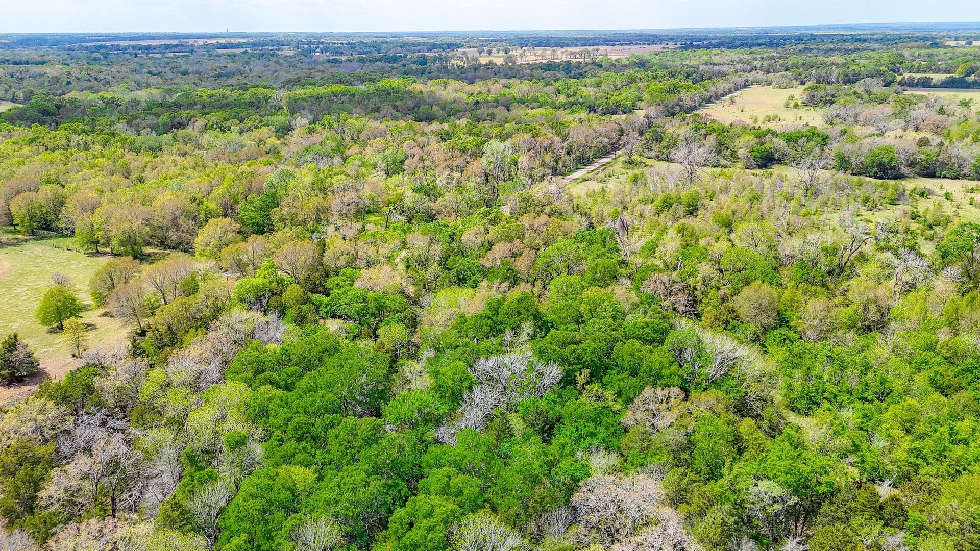 9.55 acres in Freestone County - photo 16