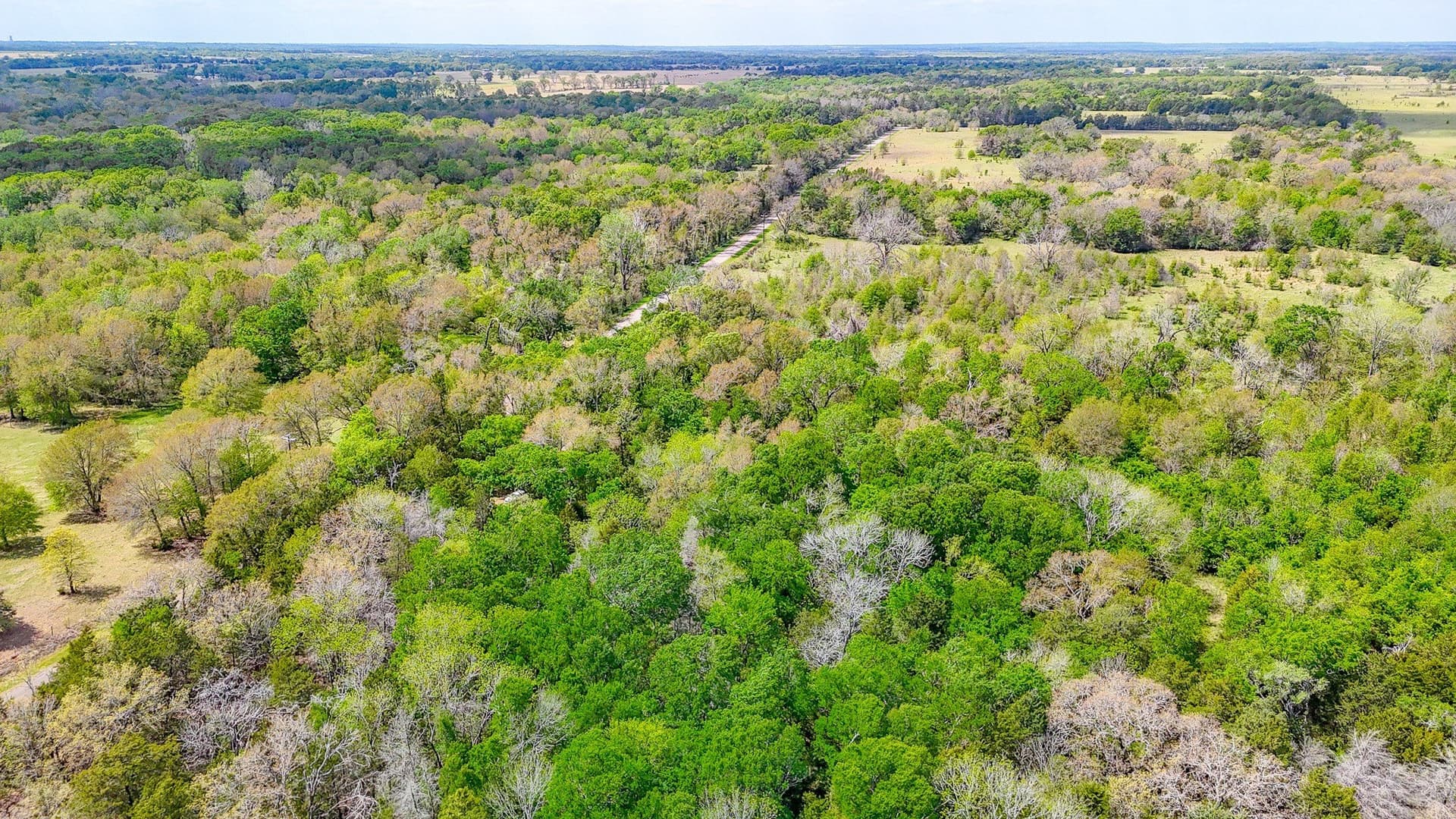 9.55 acres in Freestone County - photo 15