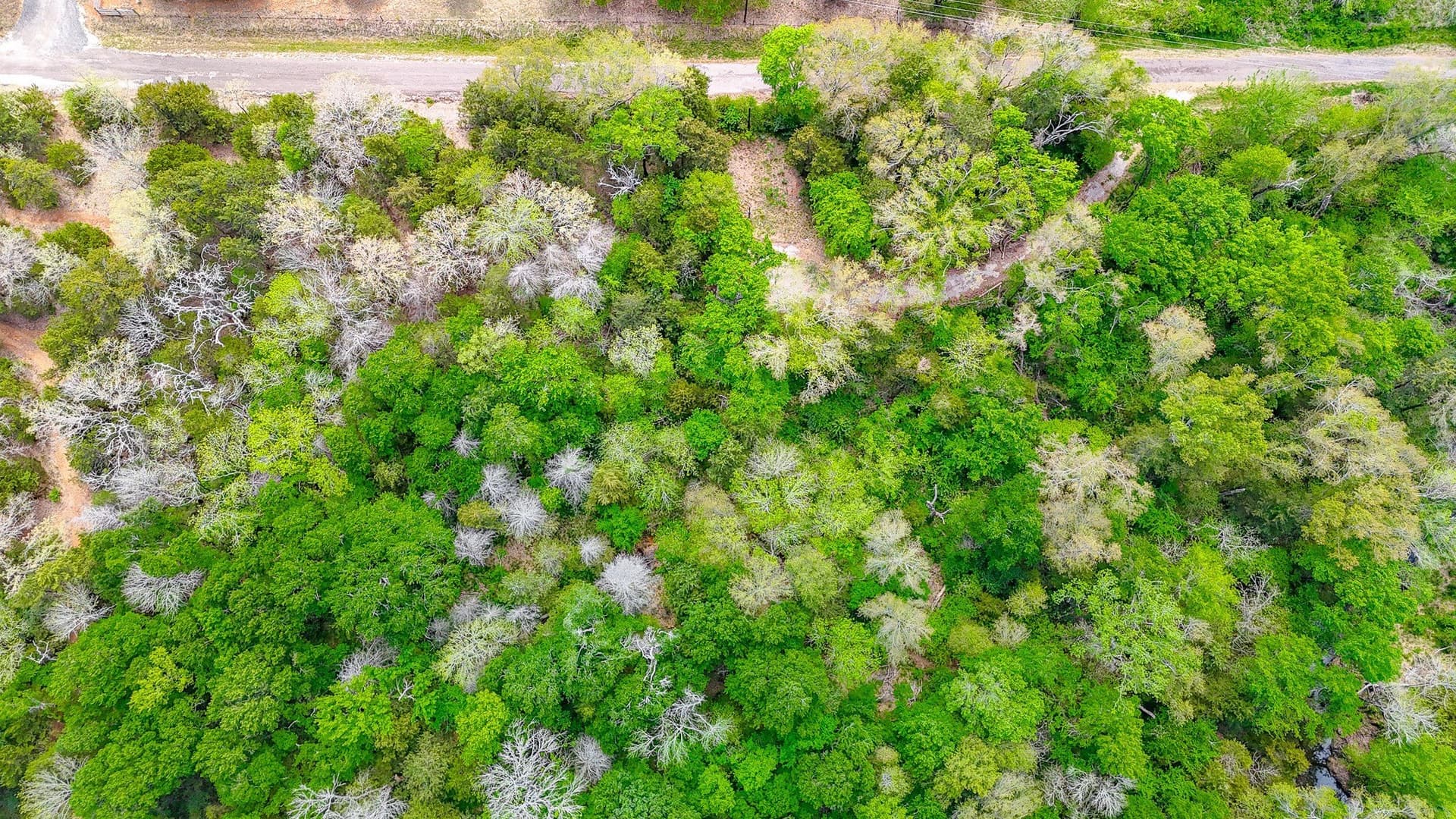 9.55 acres in Freestone County - photo 35