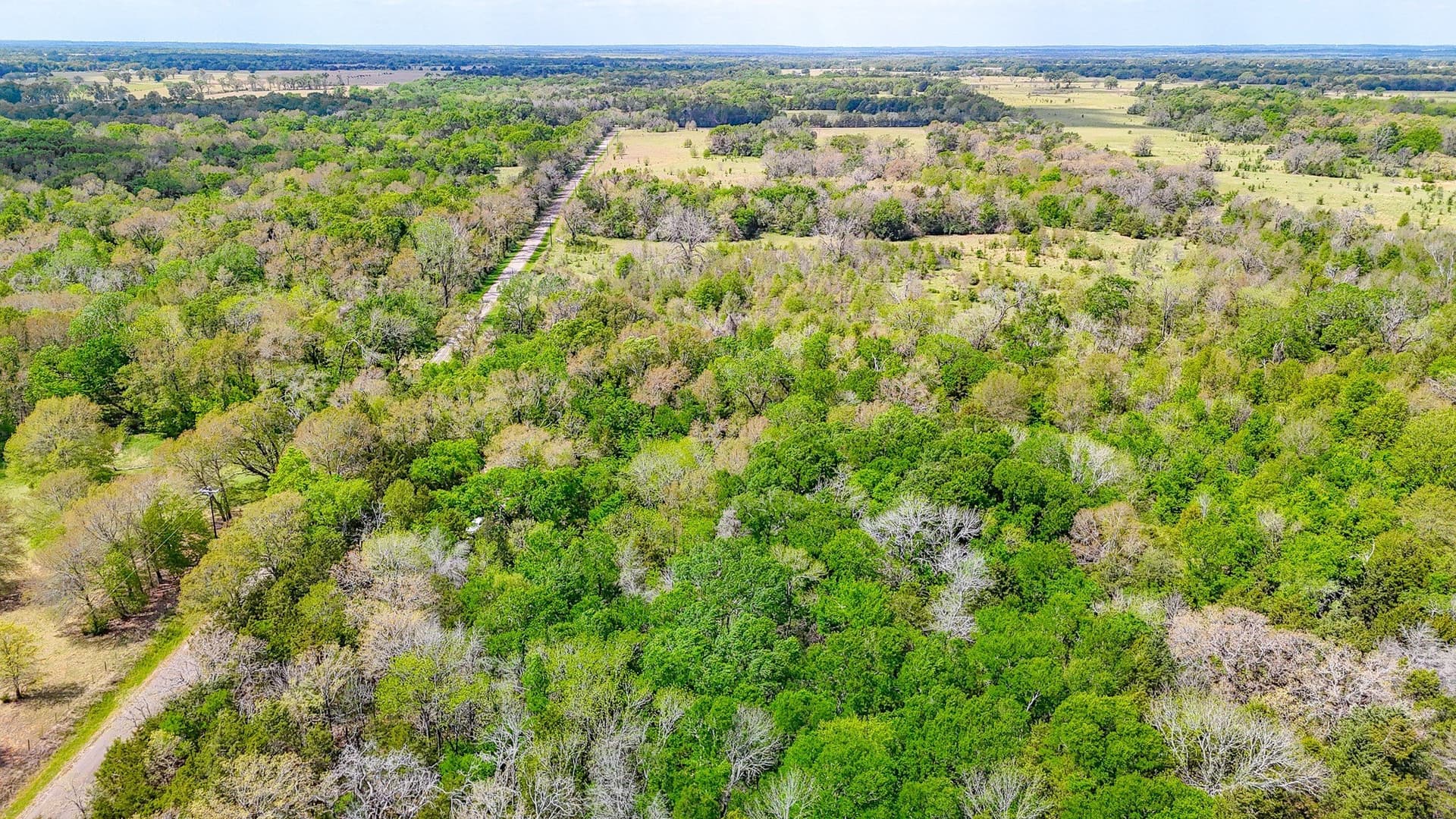 9.55 acres in Freestone County - photo 14