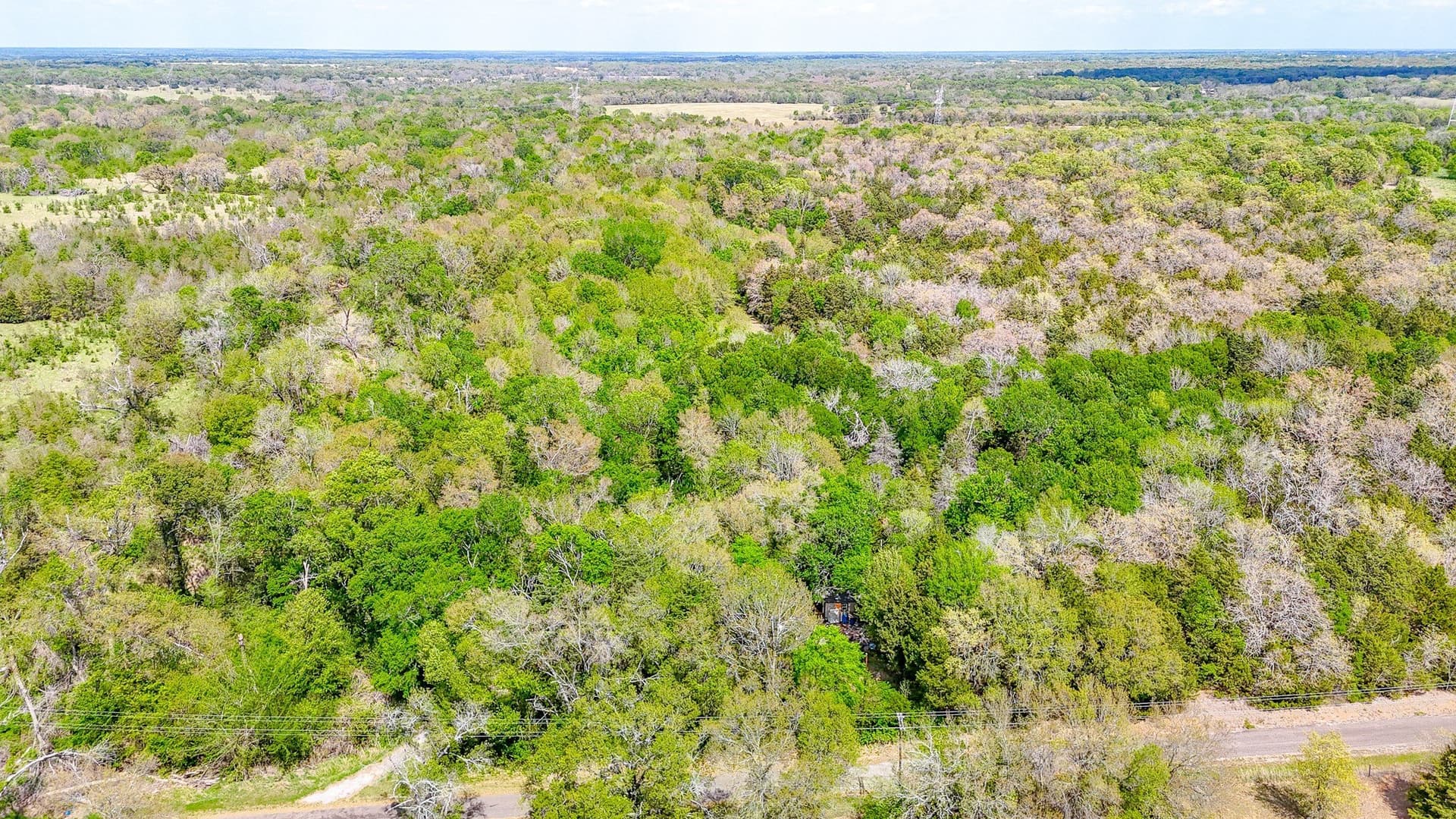 9.55 acres in Freestone County - photo 6