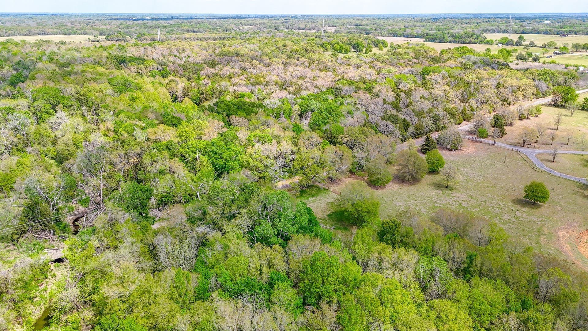 9.55 acres in Freestone County - photo 29
