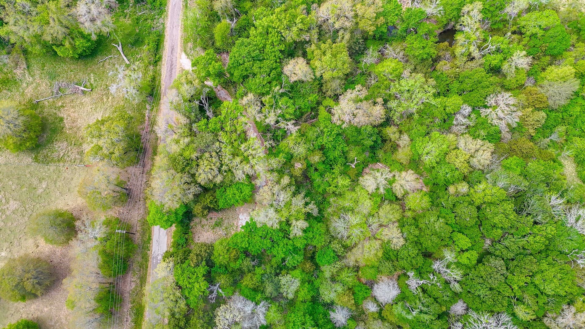 9.55 acres in Freestone County - photo 34
