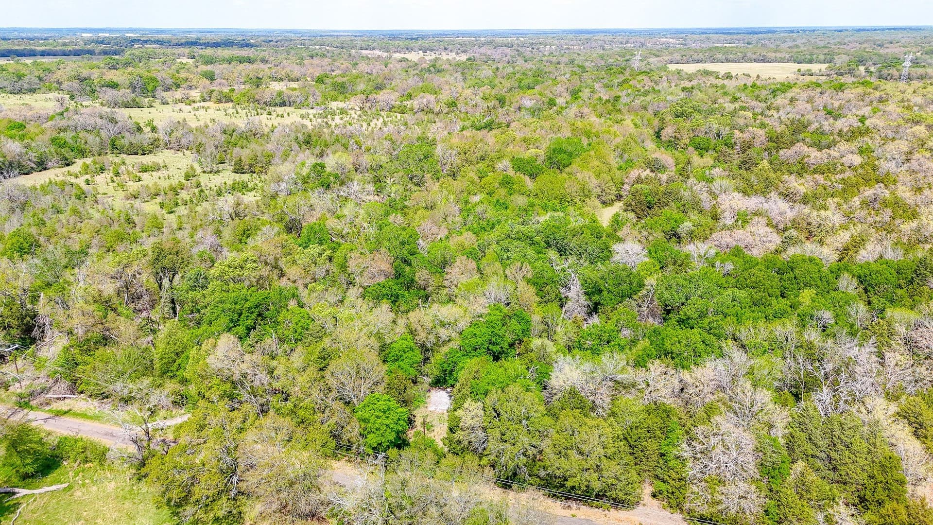 9.55 acres in Freestone County - photo 9