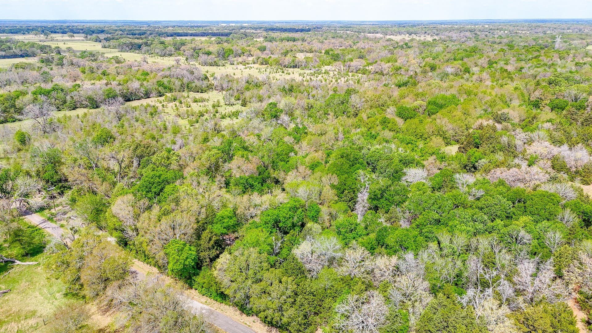 9.55 acres in Freestone County - photo 11