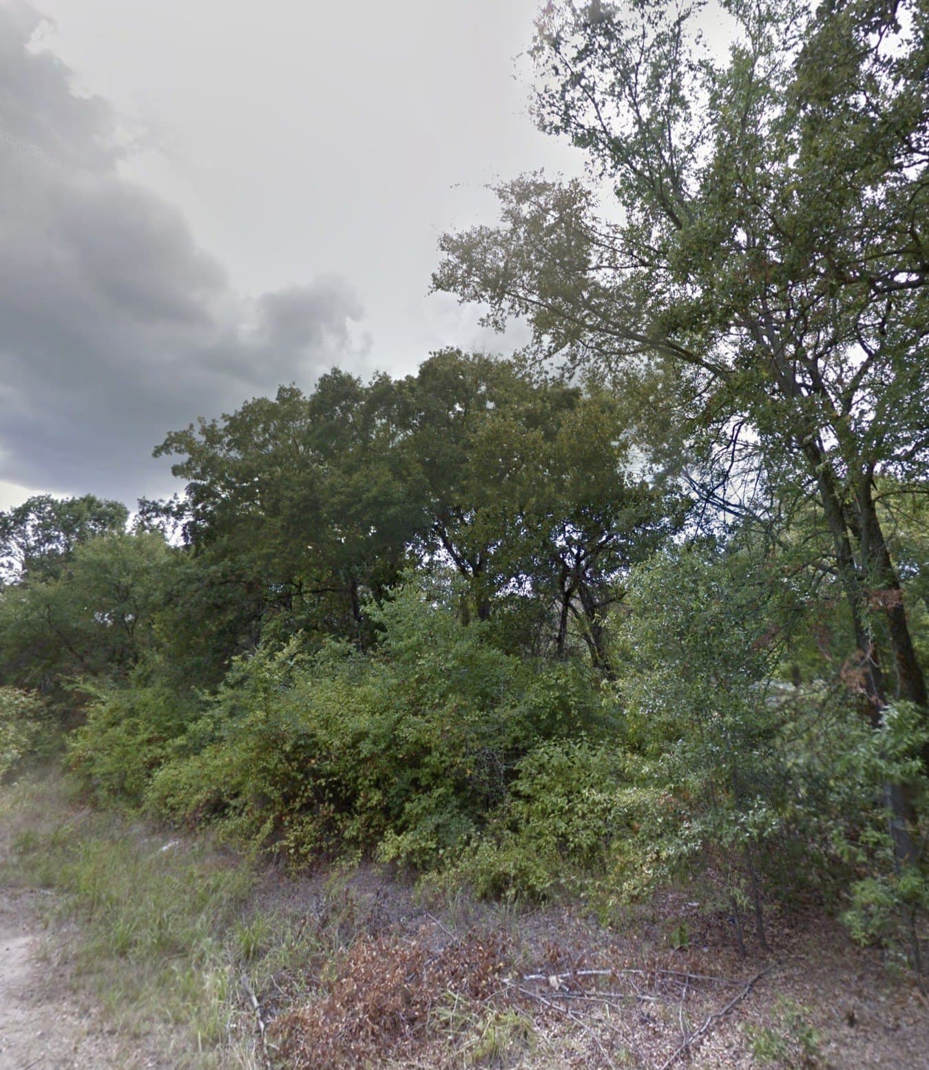 0.12 acres in Henderson County gallery image 4