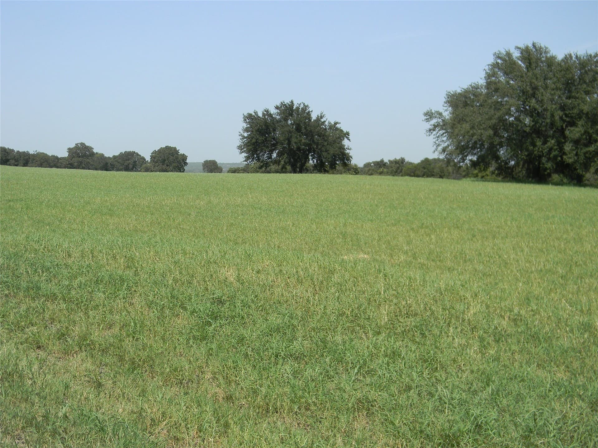 4 acres in Bosque County - photo 5