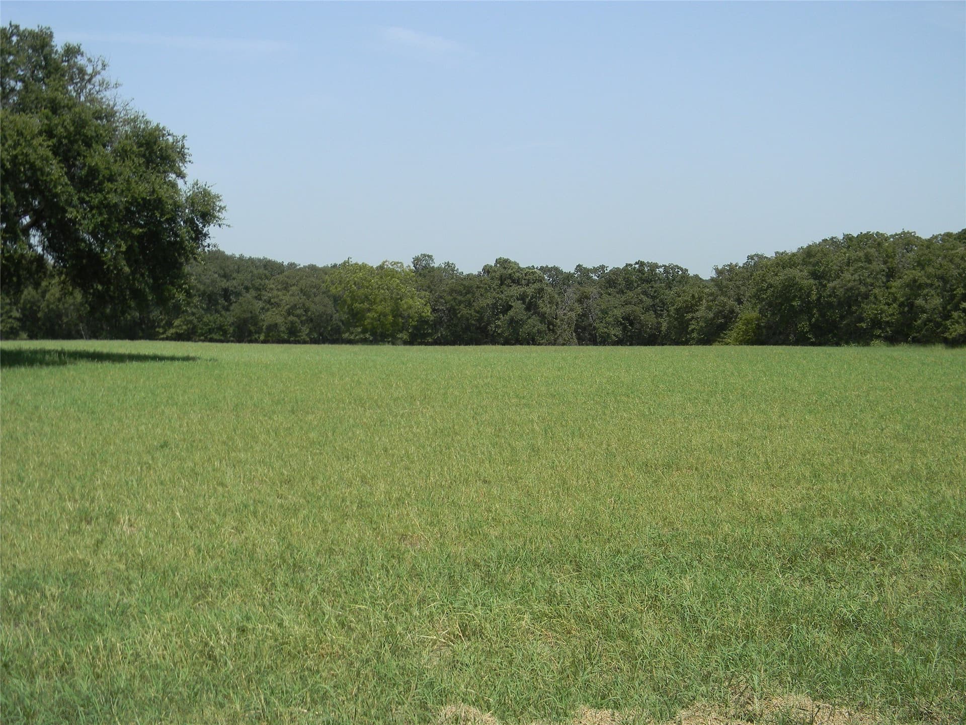 4 acres in Bosque County - photo 4