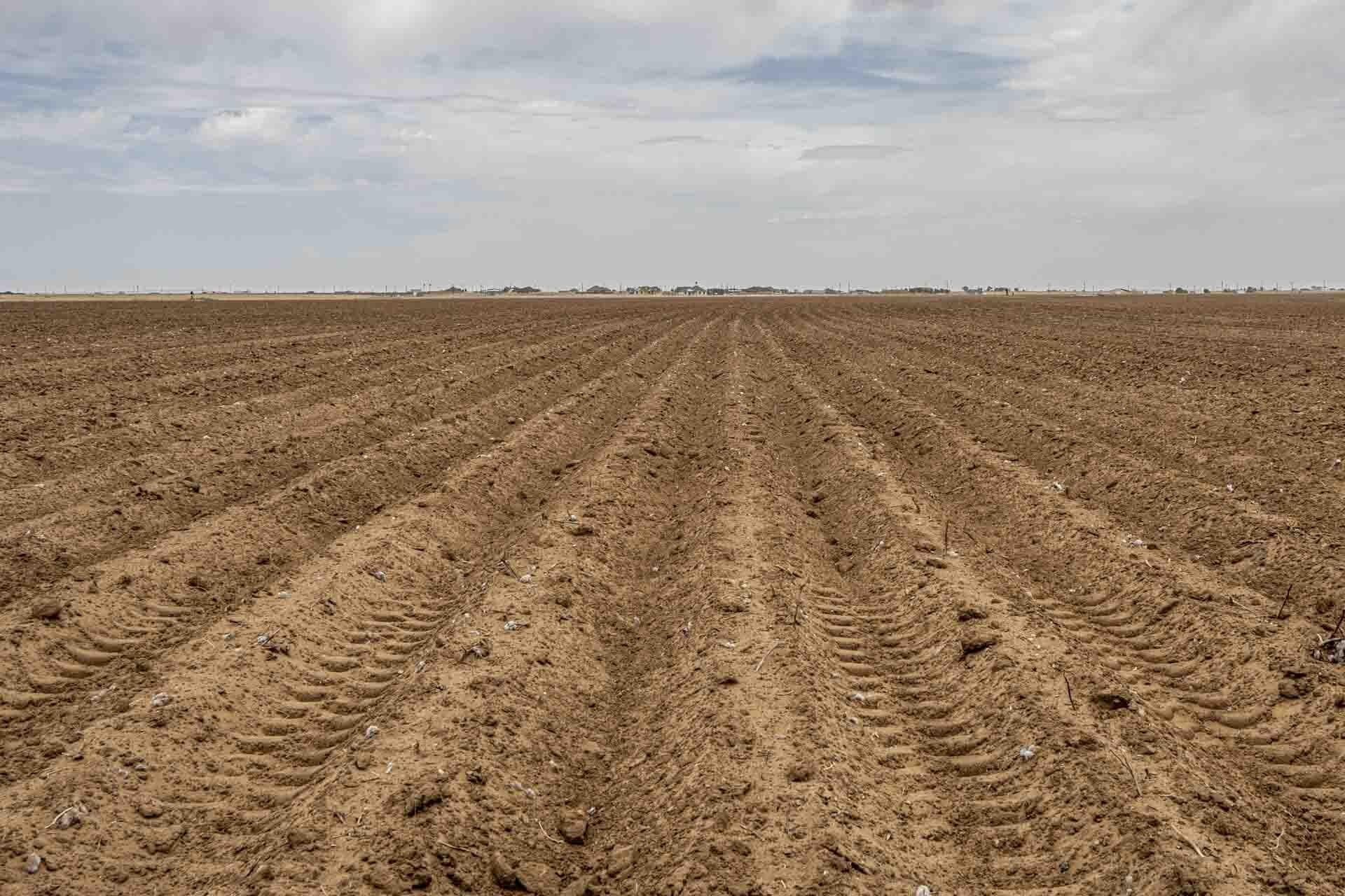 172 acres in Lynn County - photo 11