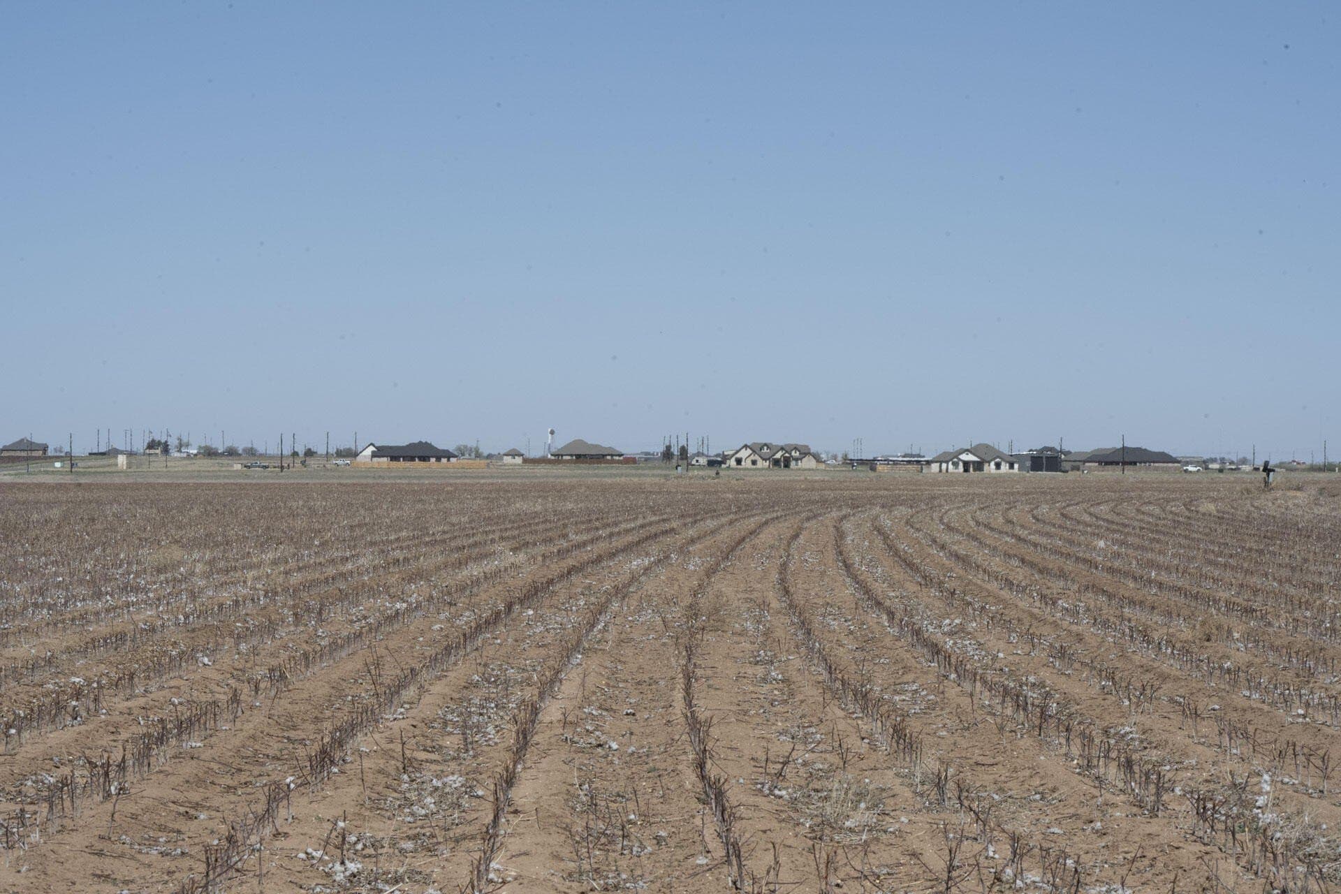 172 acres in Lynn County - photo 4