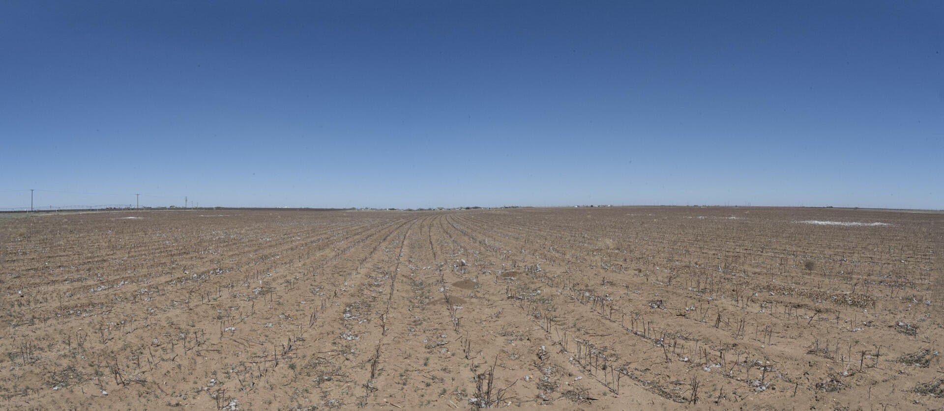 172 acres in Lynn County - photo 12