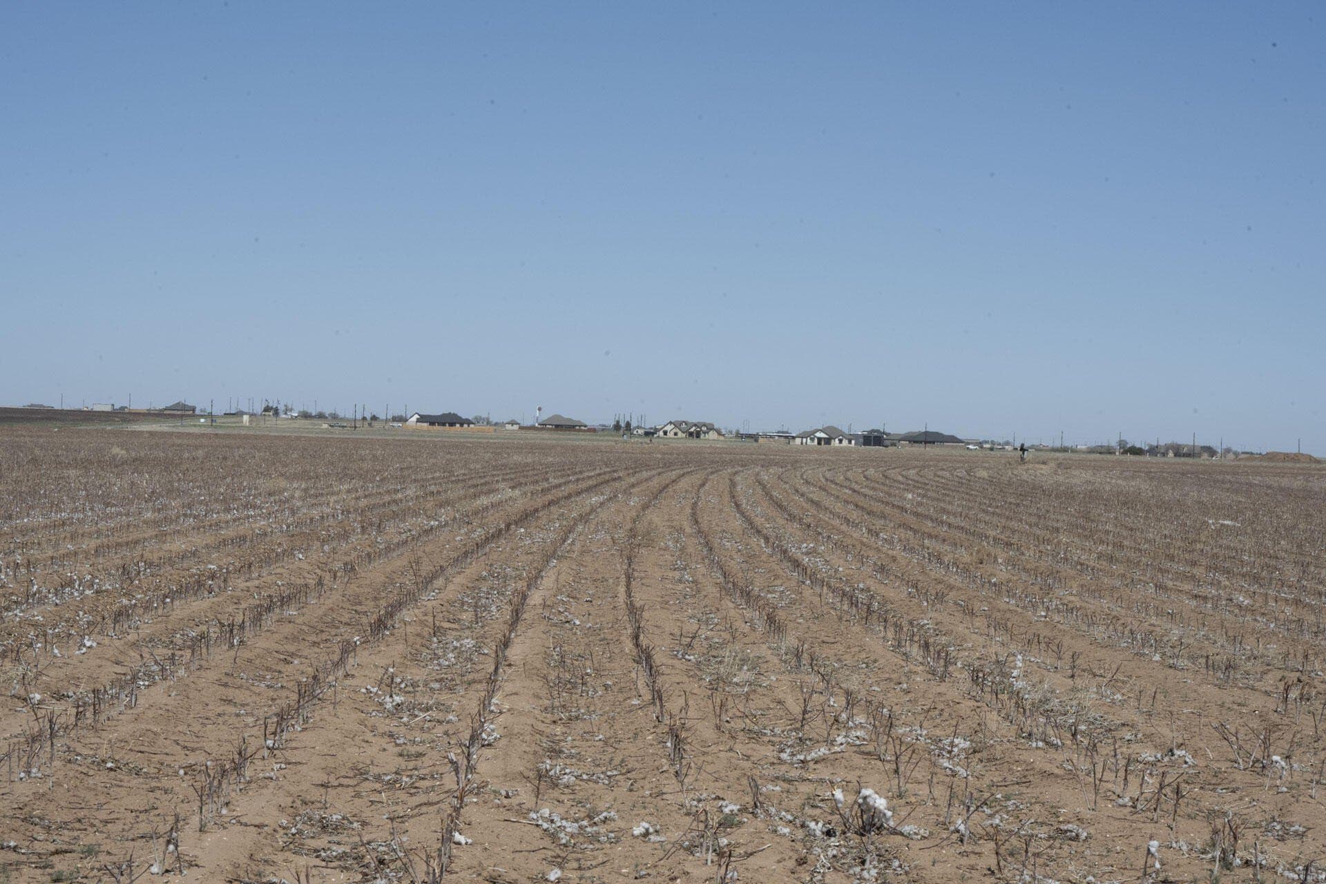 172 acres in Lynn County - photo 13