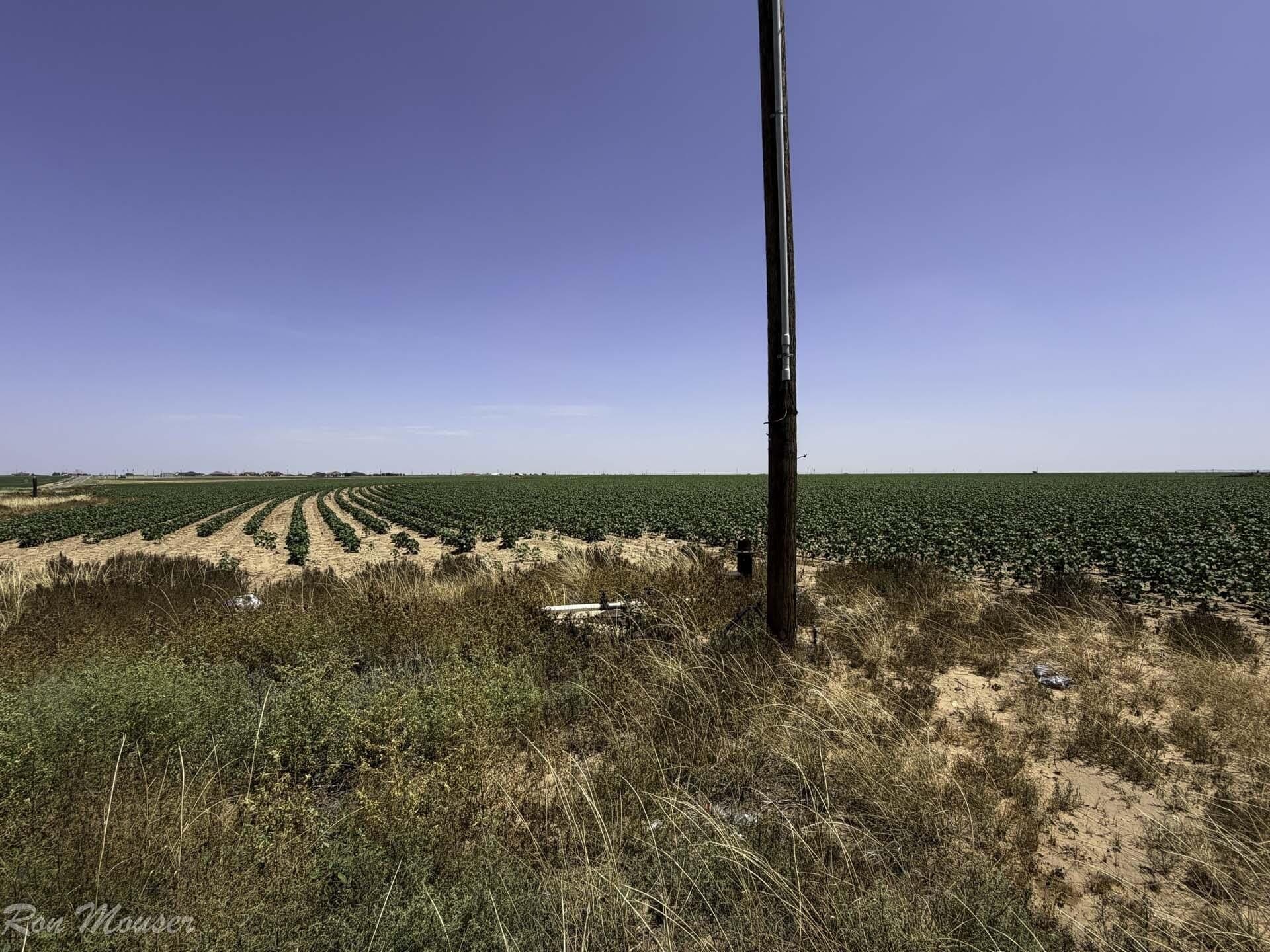 172 acres in Lynn County - photo 7