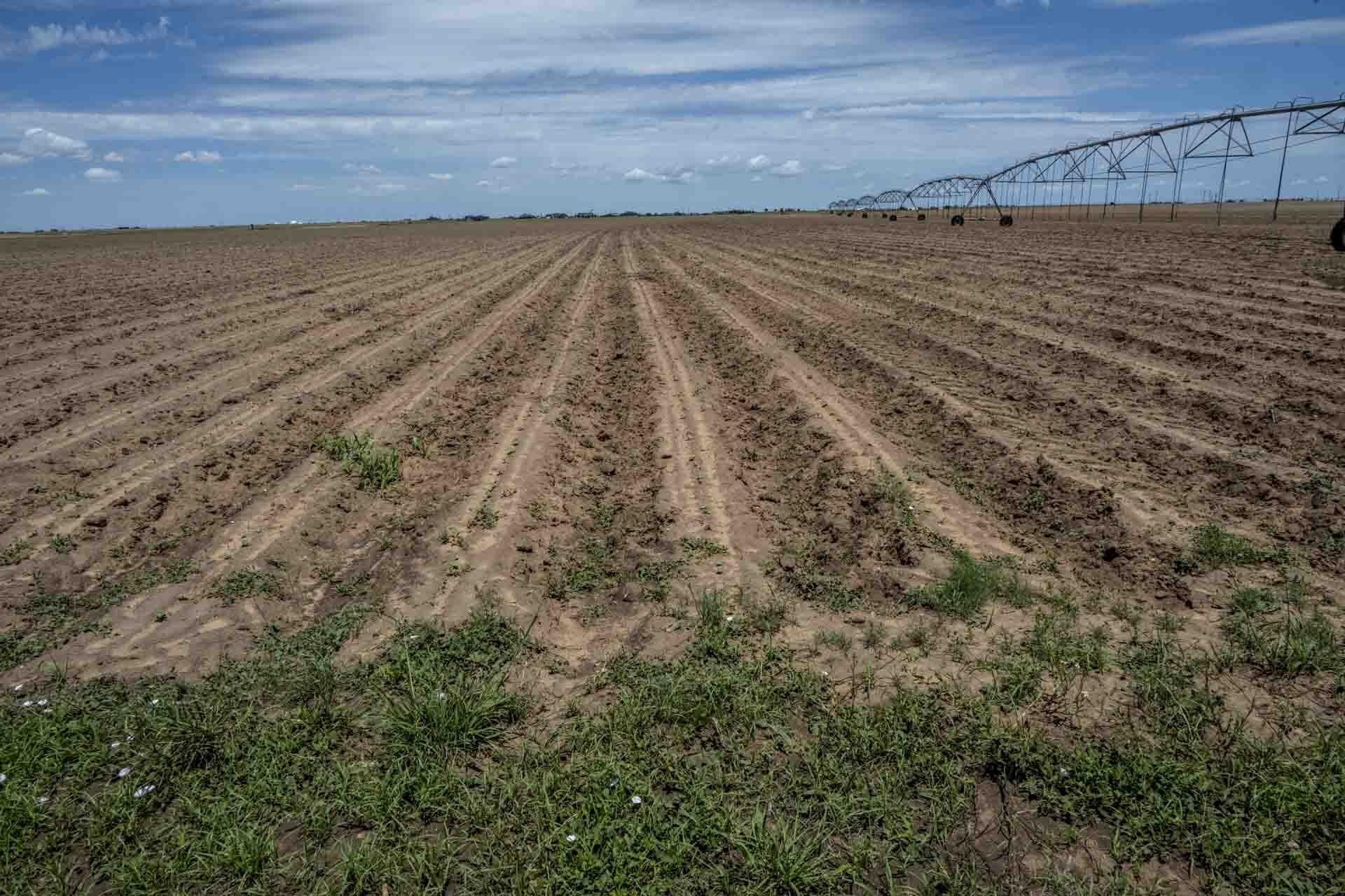 172 acres in Lynn County - photo 9