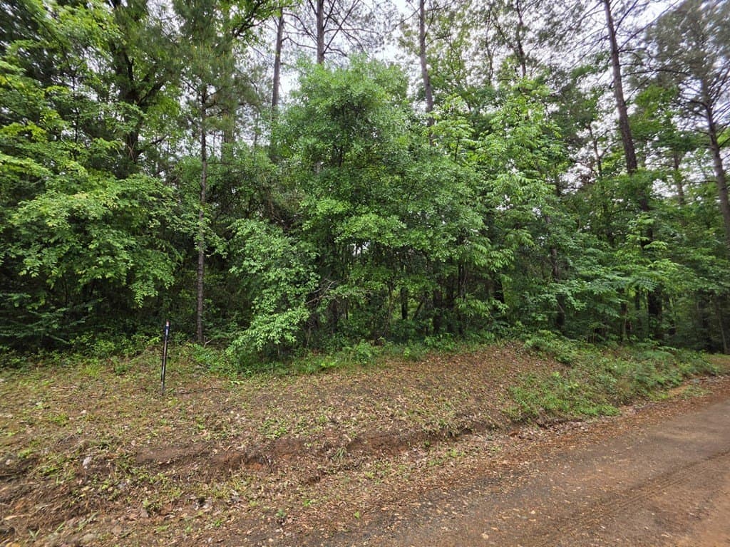 16.54 acres in Texas County gallery image 3