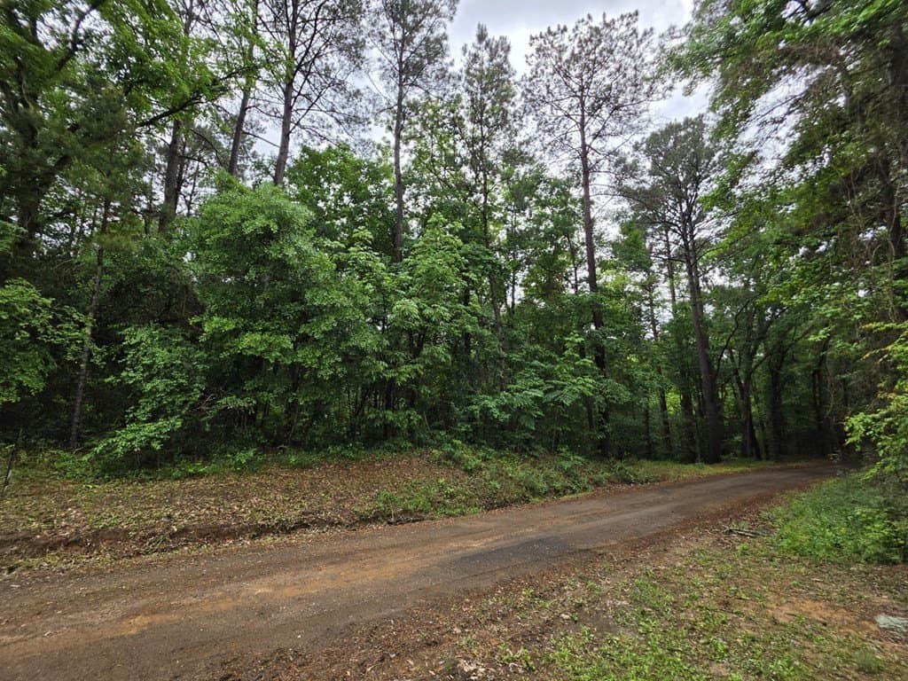 16.54 acres in Texas County gallery image 4