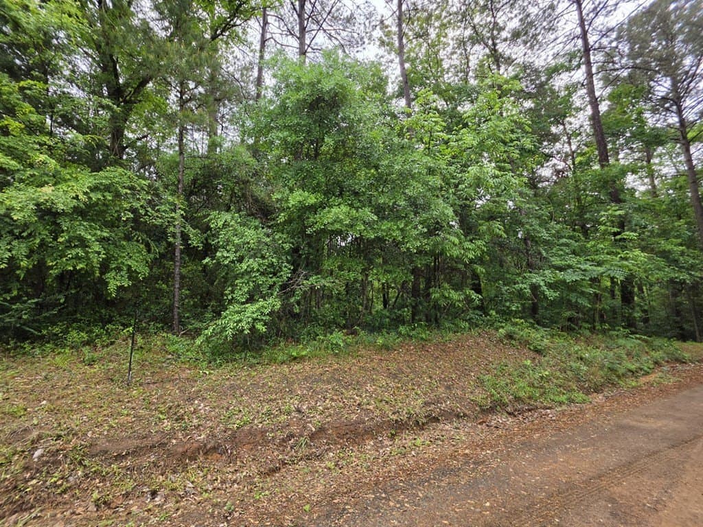 16.54 acres in Texas County featured view
