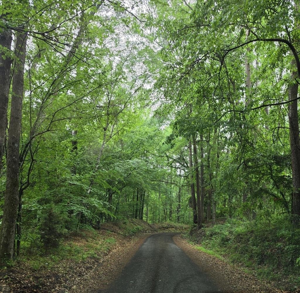 16.54 acres in Texas County