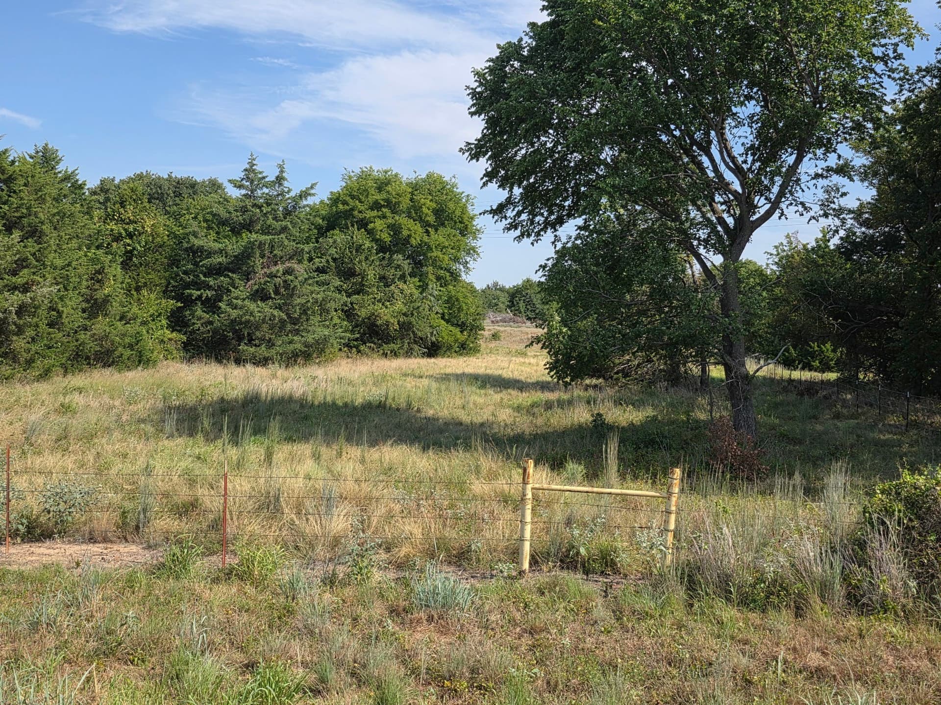 168.5 acres in Montague County - photo 11