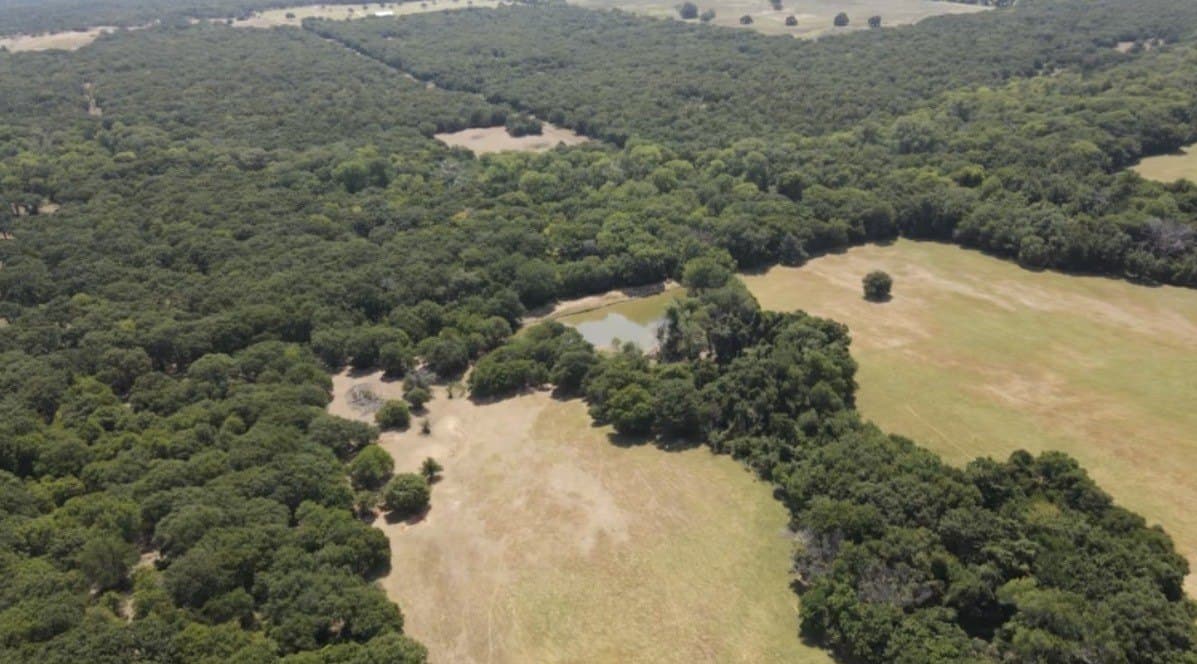 168.5 acres in Montague County - photo 7