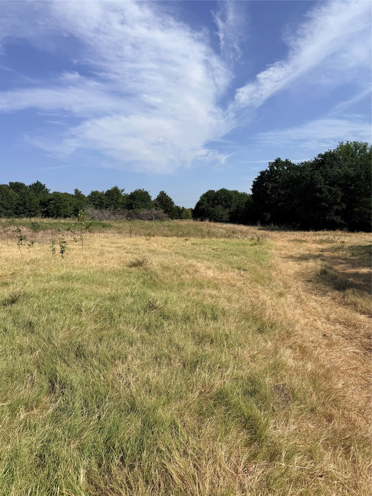 168.5 acres in Montague County - photo 12
