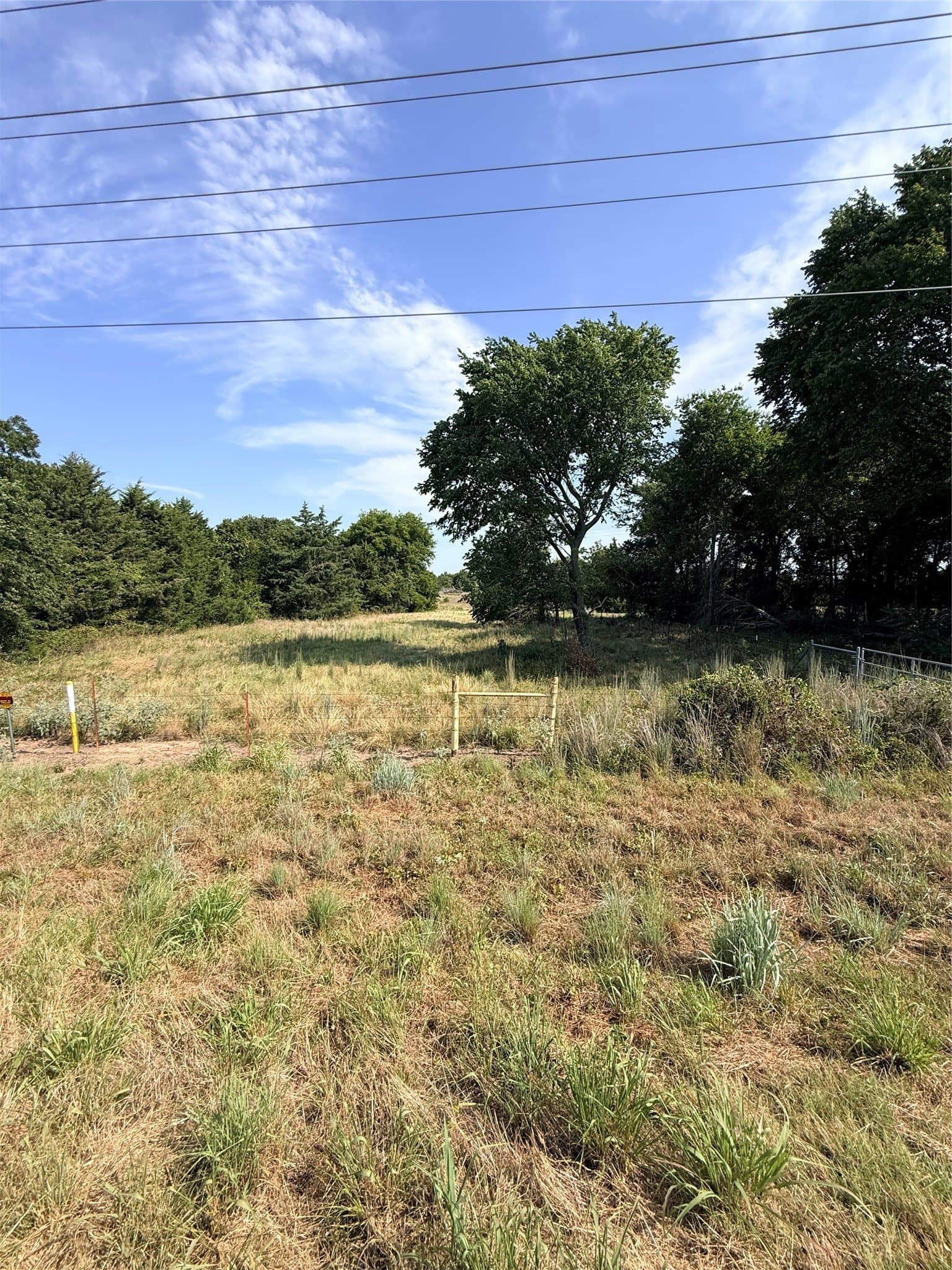 168.5 acres in Montague County - photo 16
