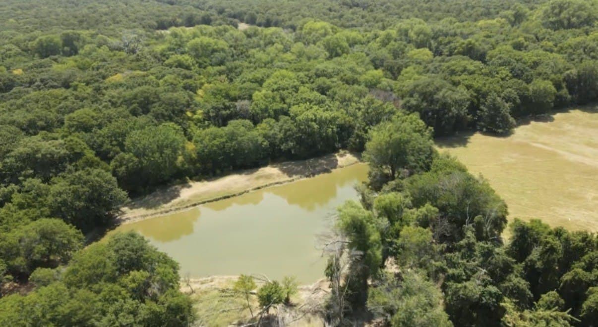 168.5 acres in Montague County - photo 6