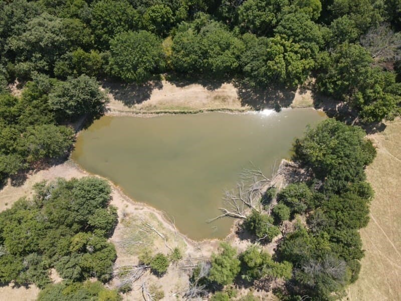 168.5 acres in Montague County - photo 5