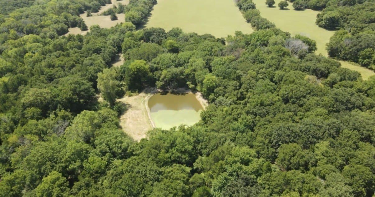 168.5 acres in Montague County - photo 9