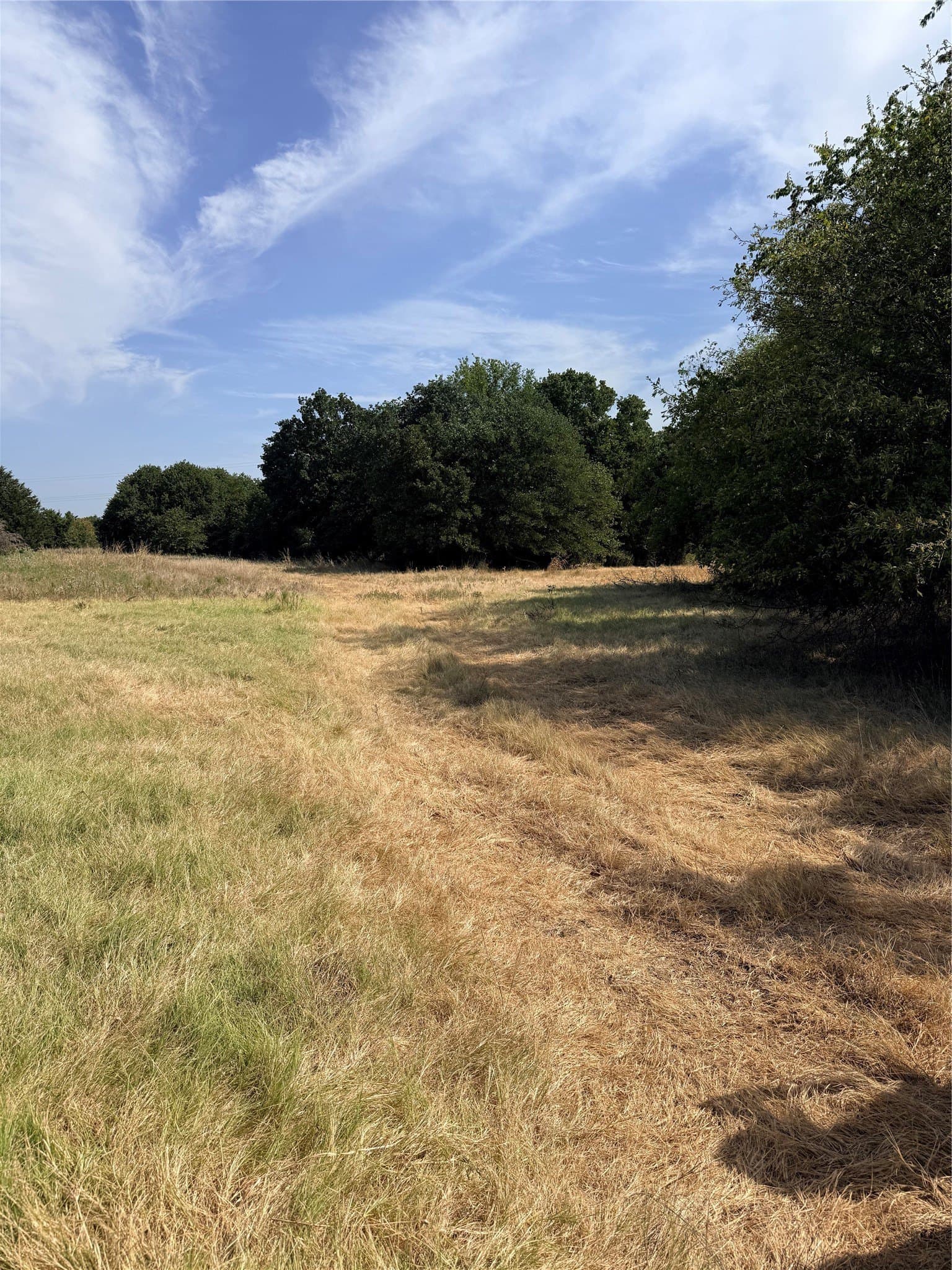 168.5 acres in Montague County - photo 13