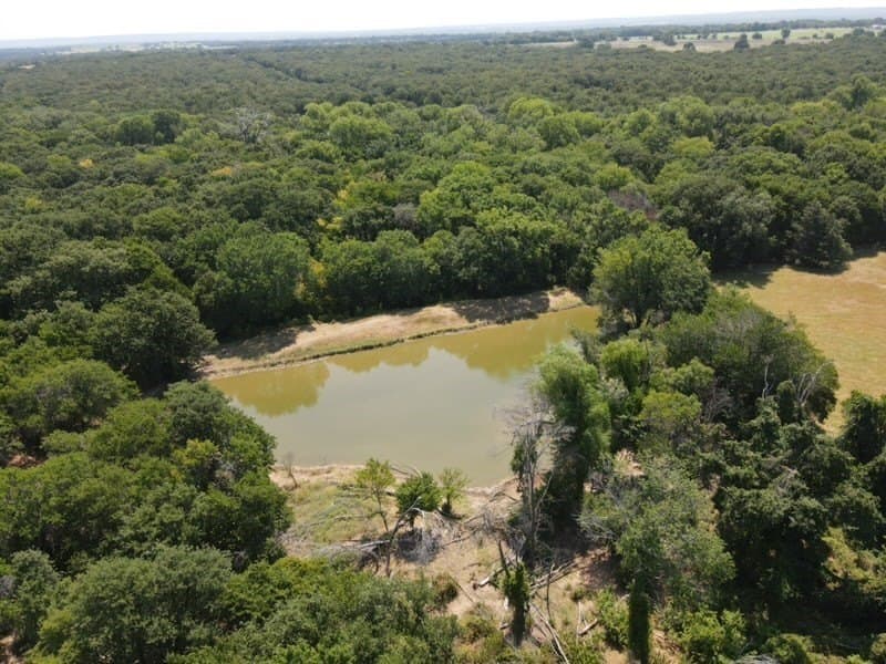 168.5 acres in Montague County - photo 4