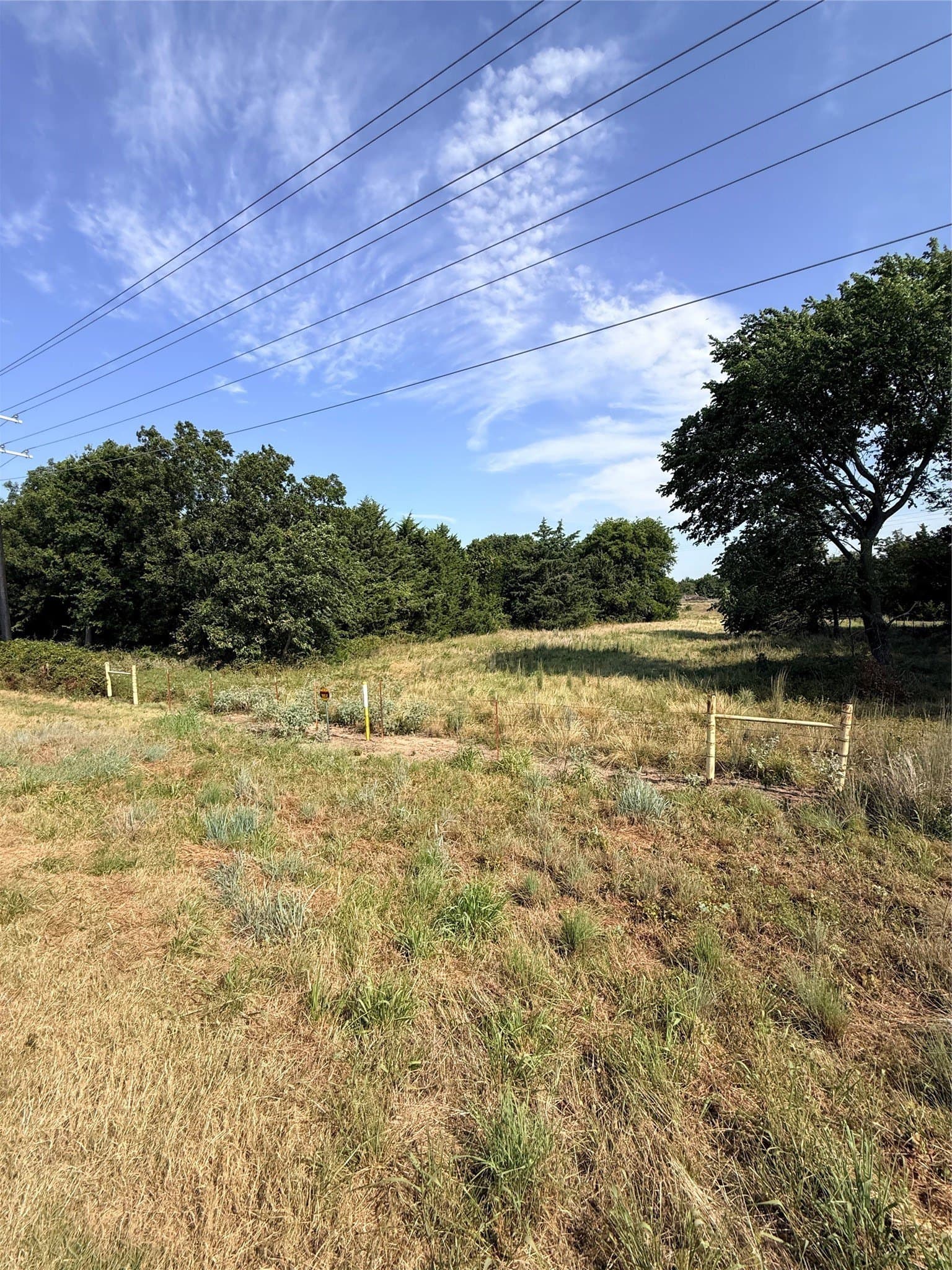 168.5 acres in Montague County - photo 17