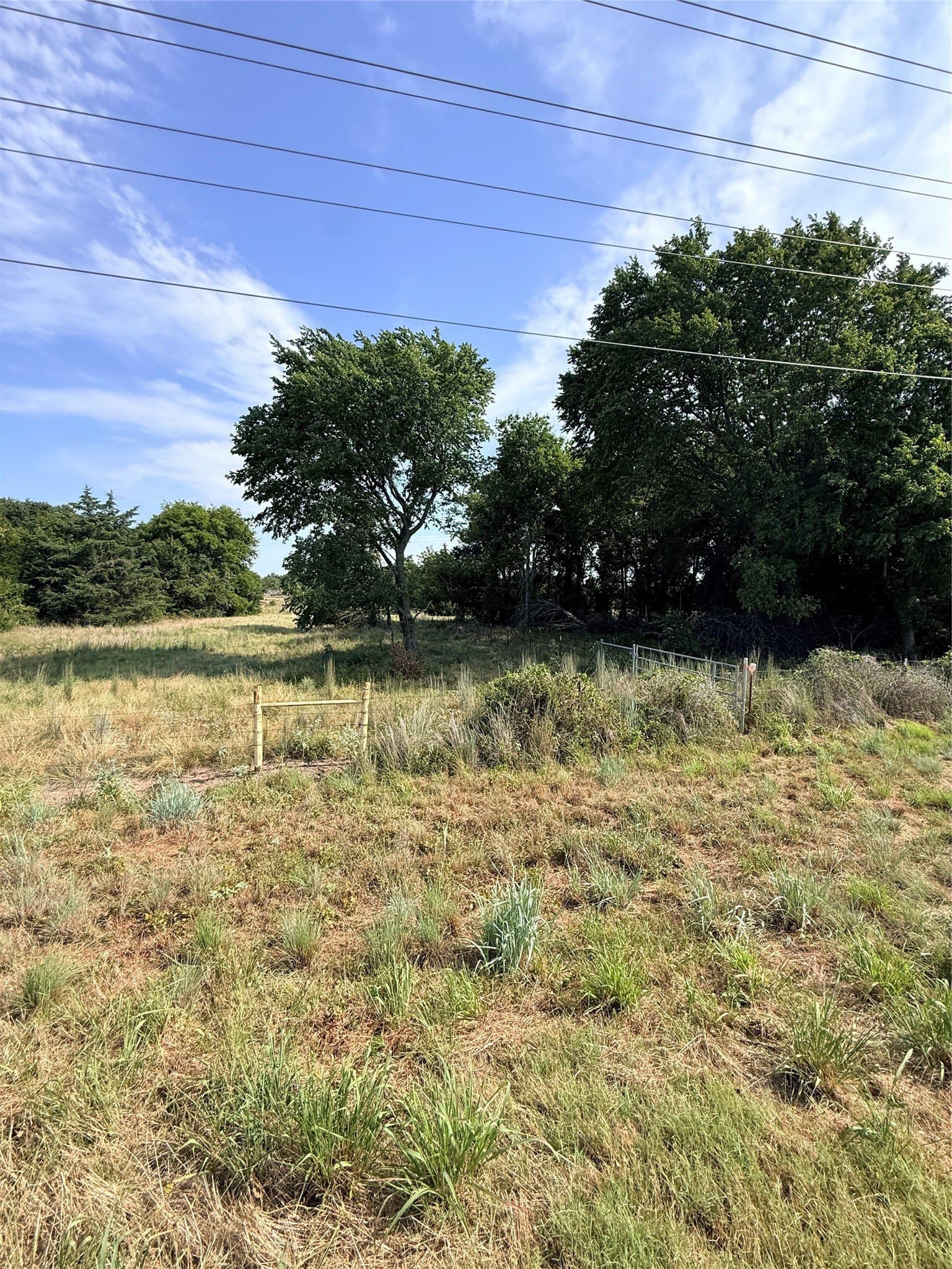 168.5 acres in Montague County - photo 15