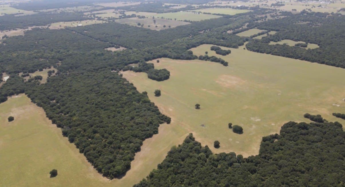 168.5 acres in Montague County - photo 8