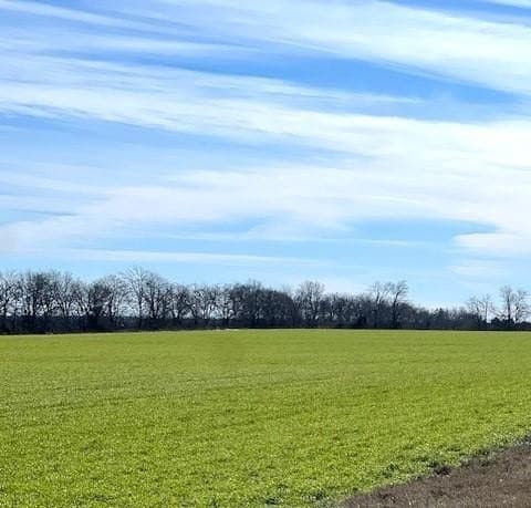 21.98 acres in Lamar County