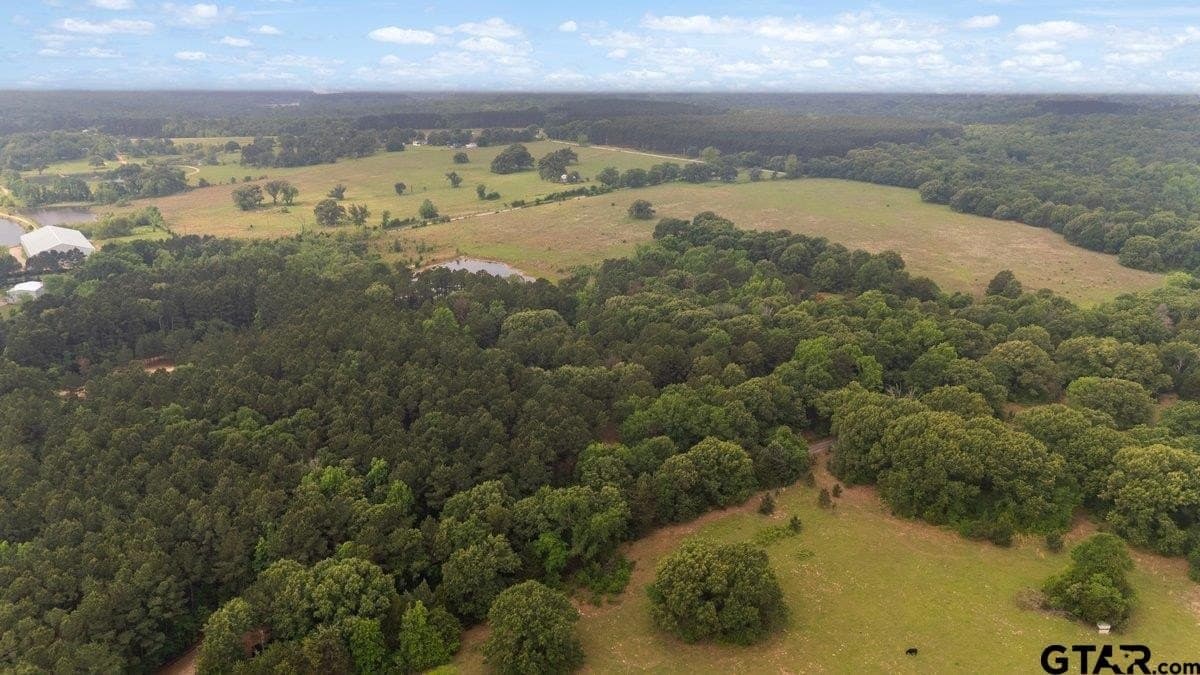 5.09 acres in Henderson County - photo 5