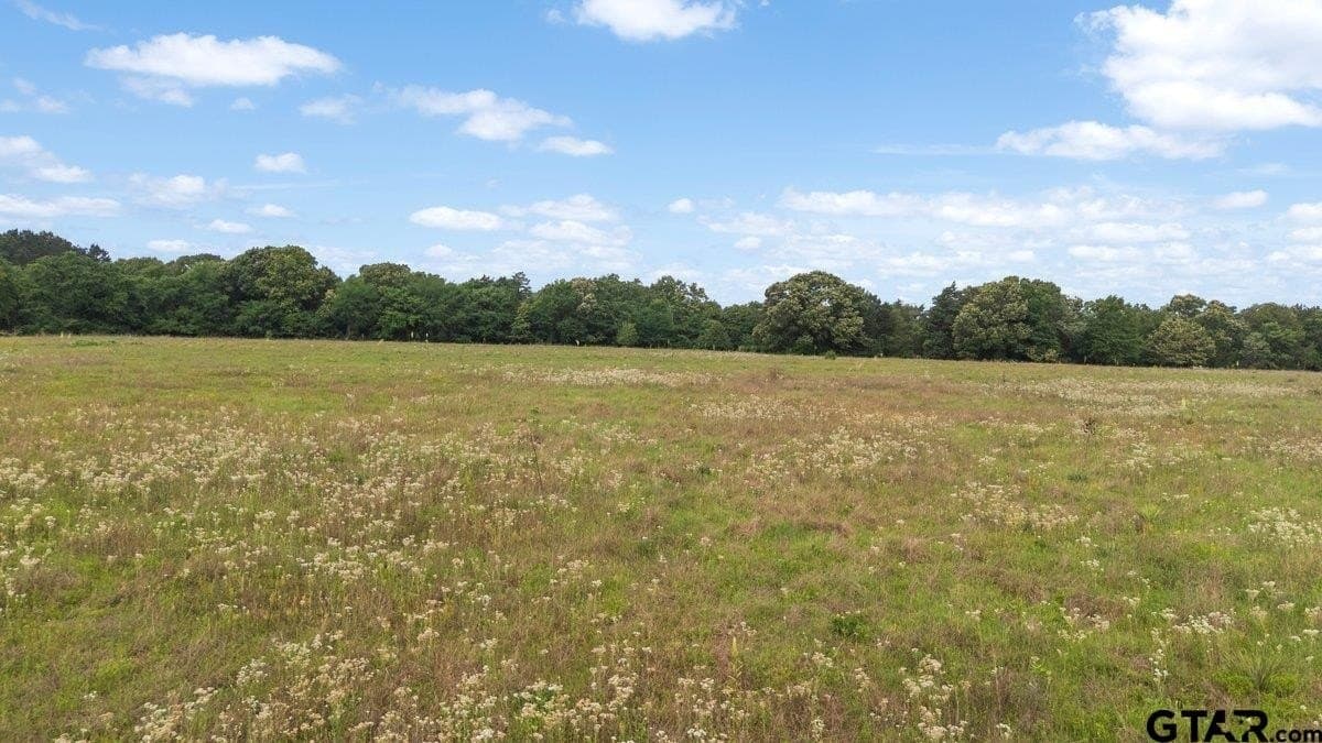 5.09 acres in Henderson County - photo 6