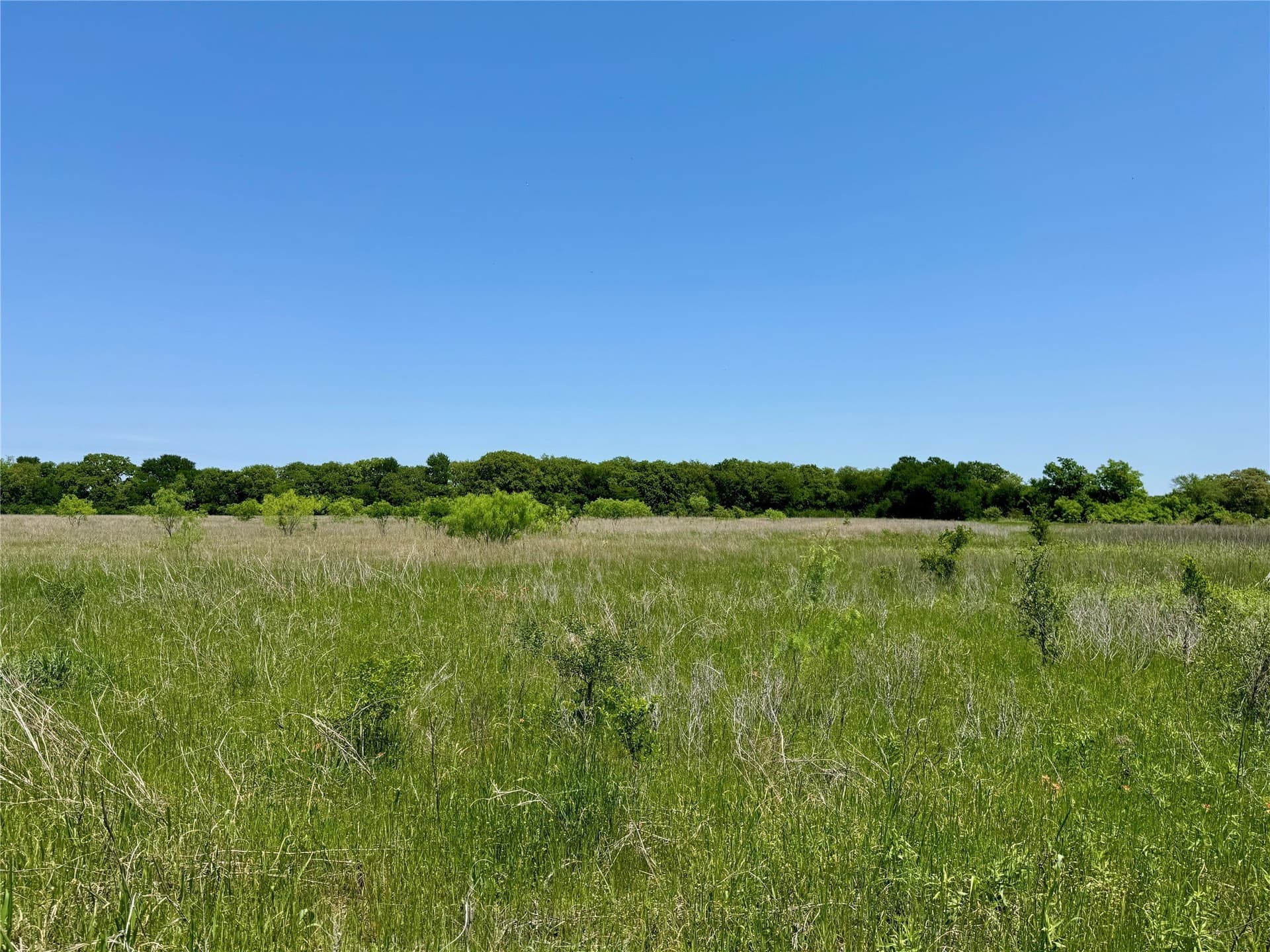 2.82 acres in McLennan County gallery image 3