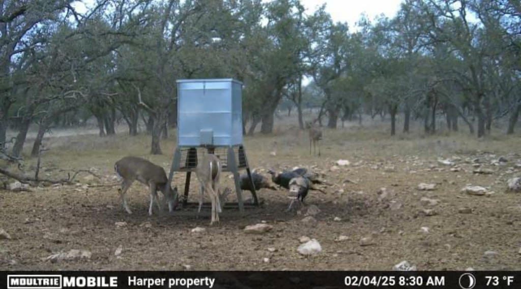 21.29 acres in Kerr County - photo 27
