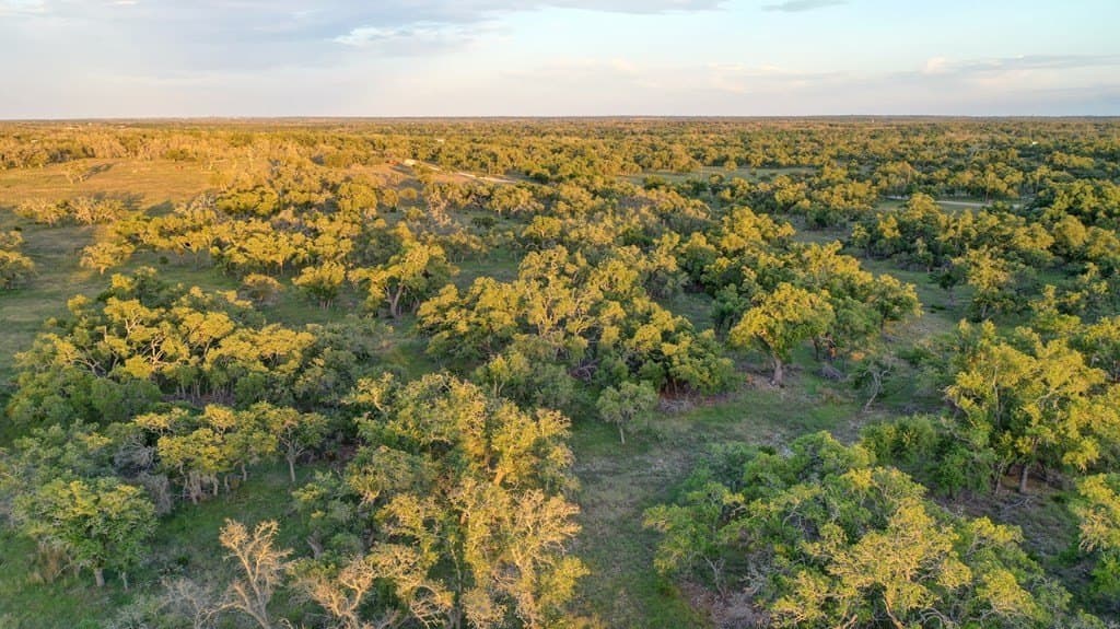 21.29 acres in Kerr County gallery image 2