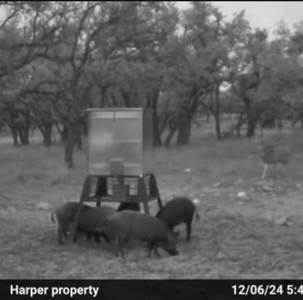 21.29 acres in Kerr County - photo 23