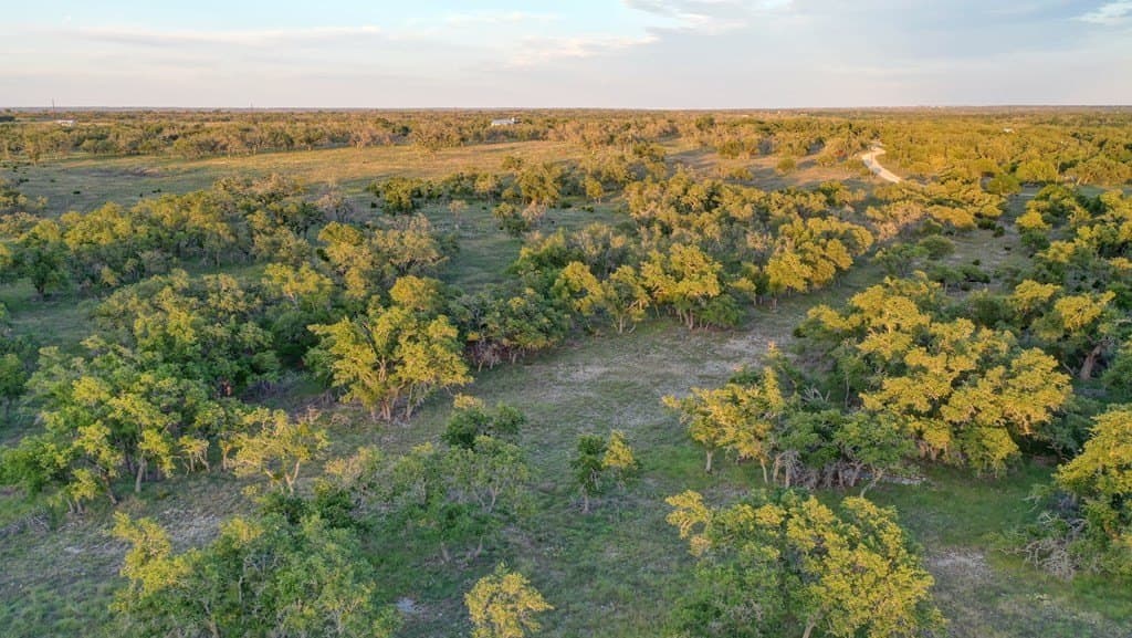 21.29 acres in Kerr County gallery image 3