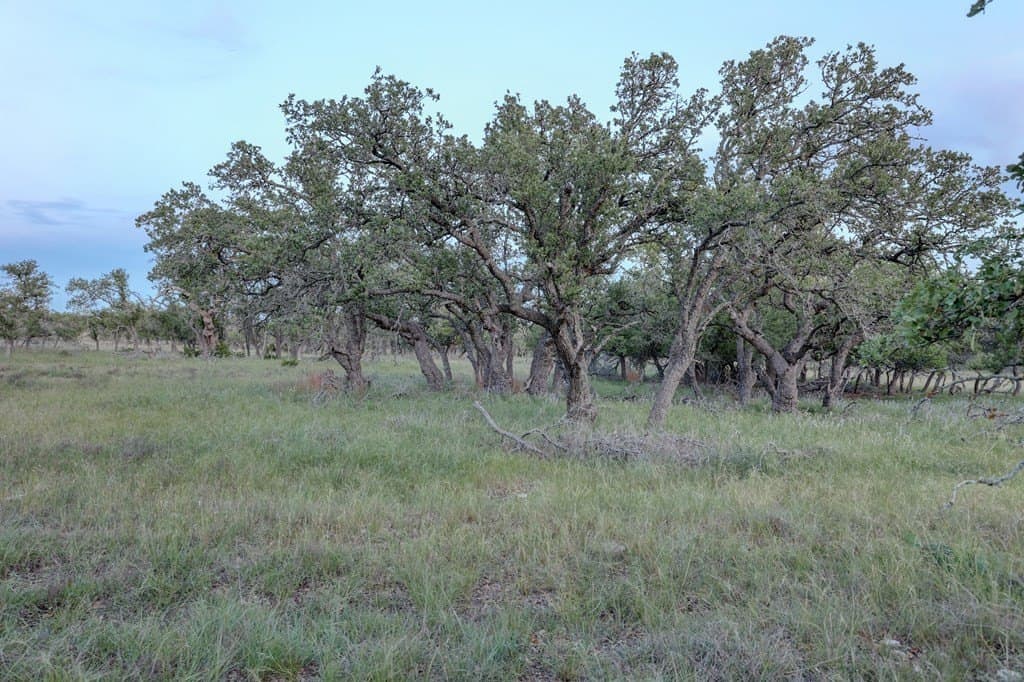 21.29 acres in Kerr County - photo 20