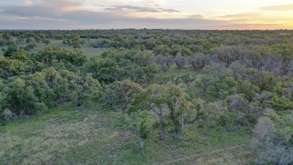 21.29 acres in Kerr County gallery image 4