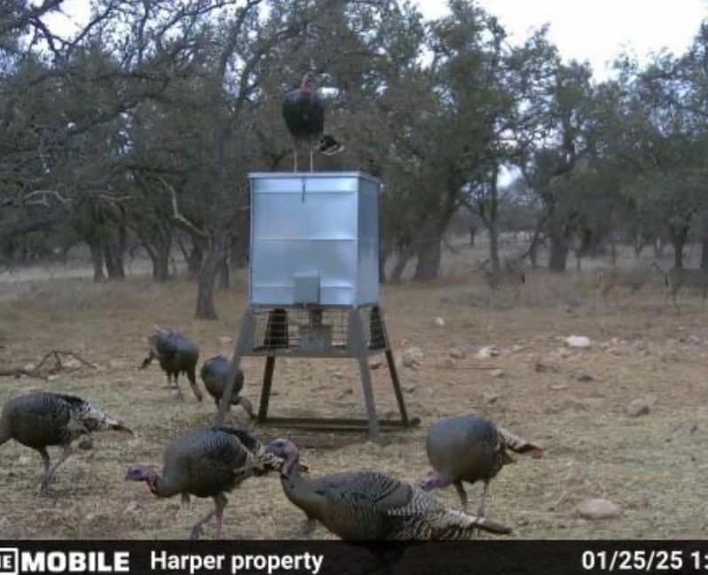 21.29 acres in Kerr County - photo 29