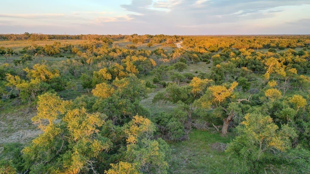 21.29 acres in Kerr County - photo 8