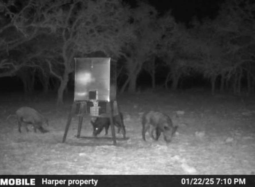 21.29 acres in Kerr County - photo 30