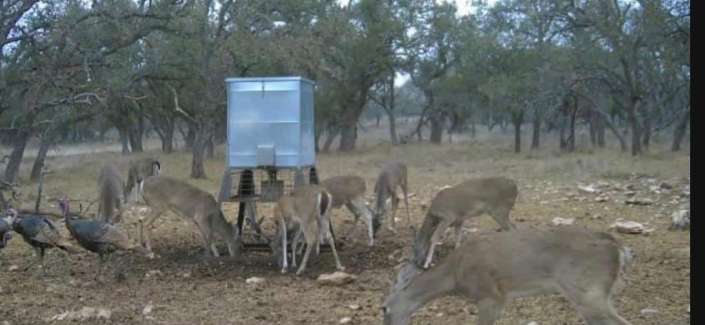 21.29 acres in Kerr County - photo 28