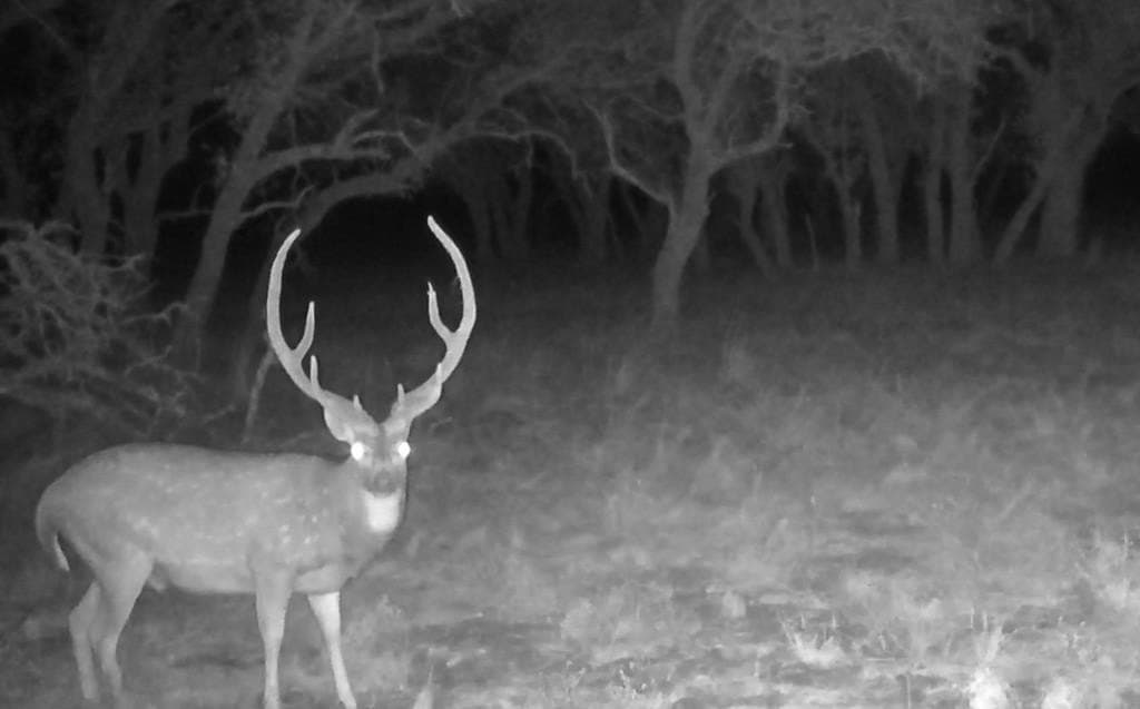 21.29 acres in Kerr County - photo 31
