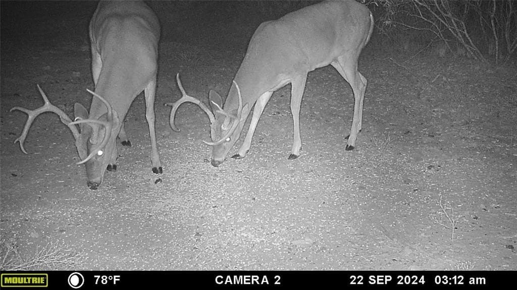 74.79 acres in Brown County